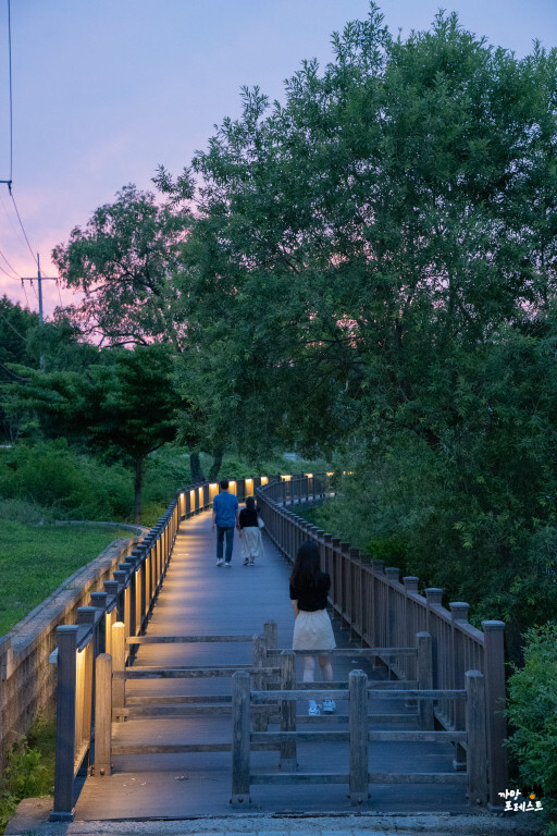 왕송호수 공원 산책로