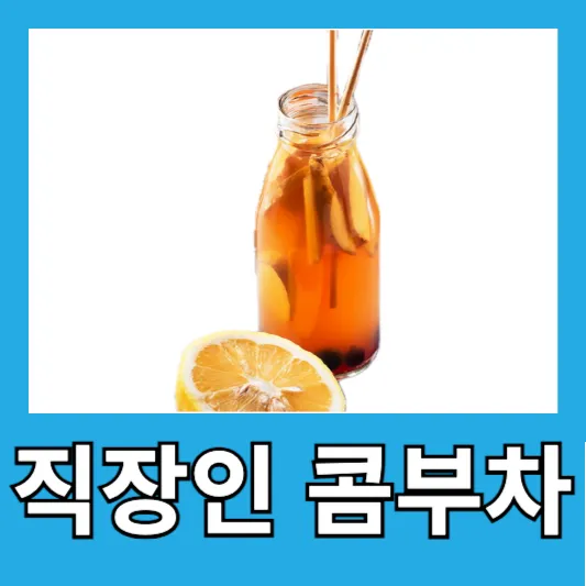 "콤부차는 녹차와 홍차 기반"