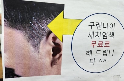 무료새치염색