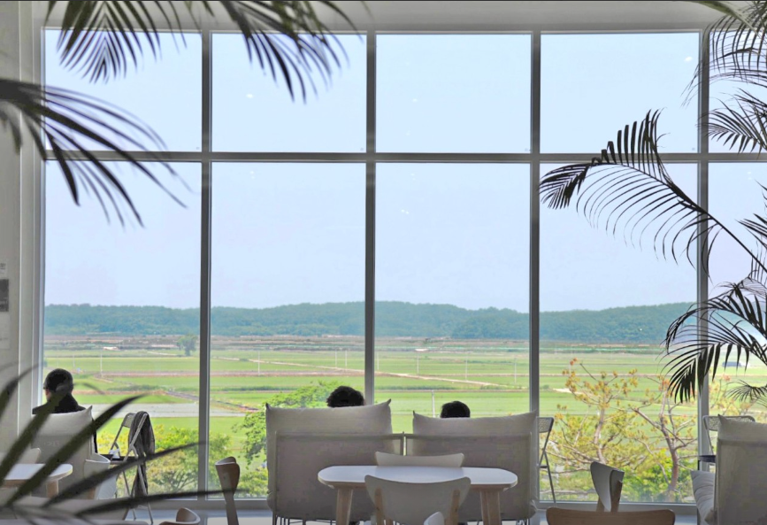 서울 근교 대형 카페 추천 TOP6 솔직 후기!