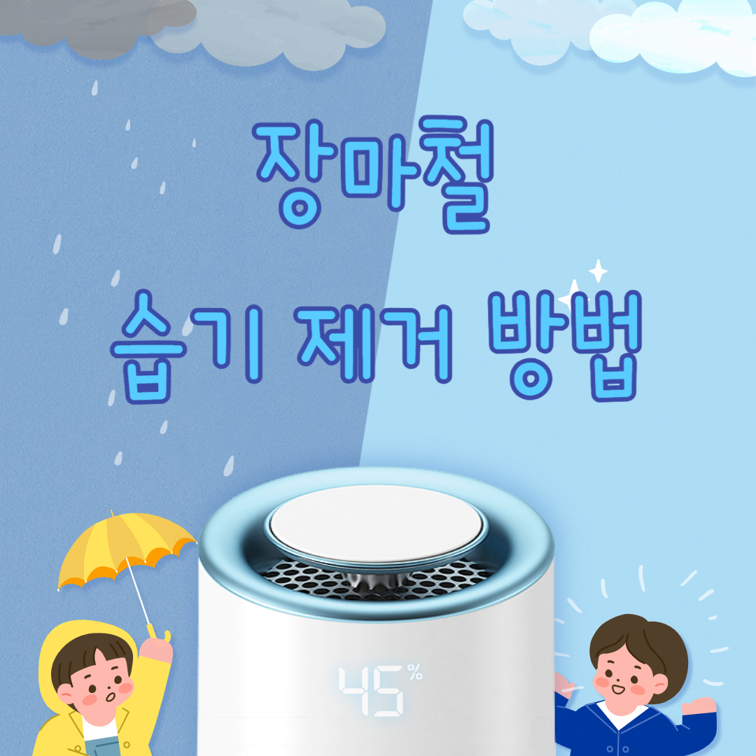 장마철 습기 제거 방법