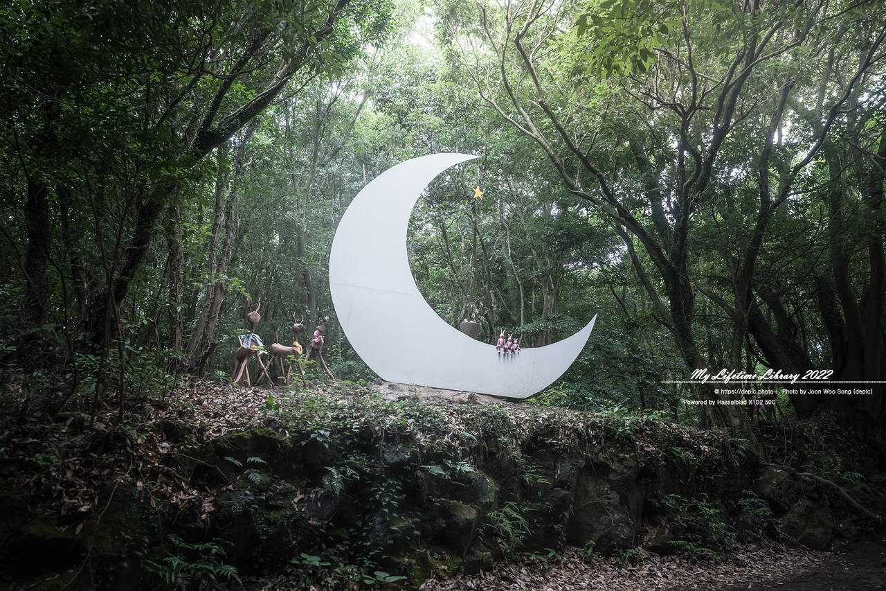 #제주 #곶자왈 #산양큰엉곶 #2022제주여행