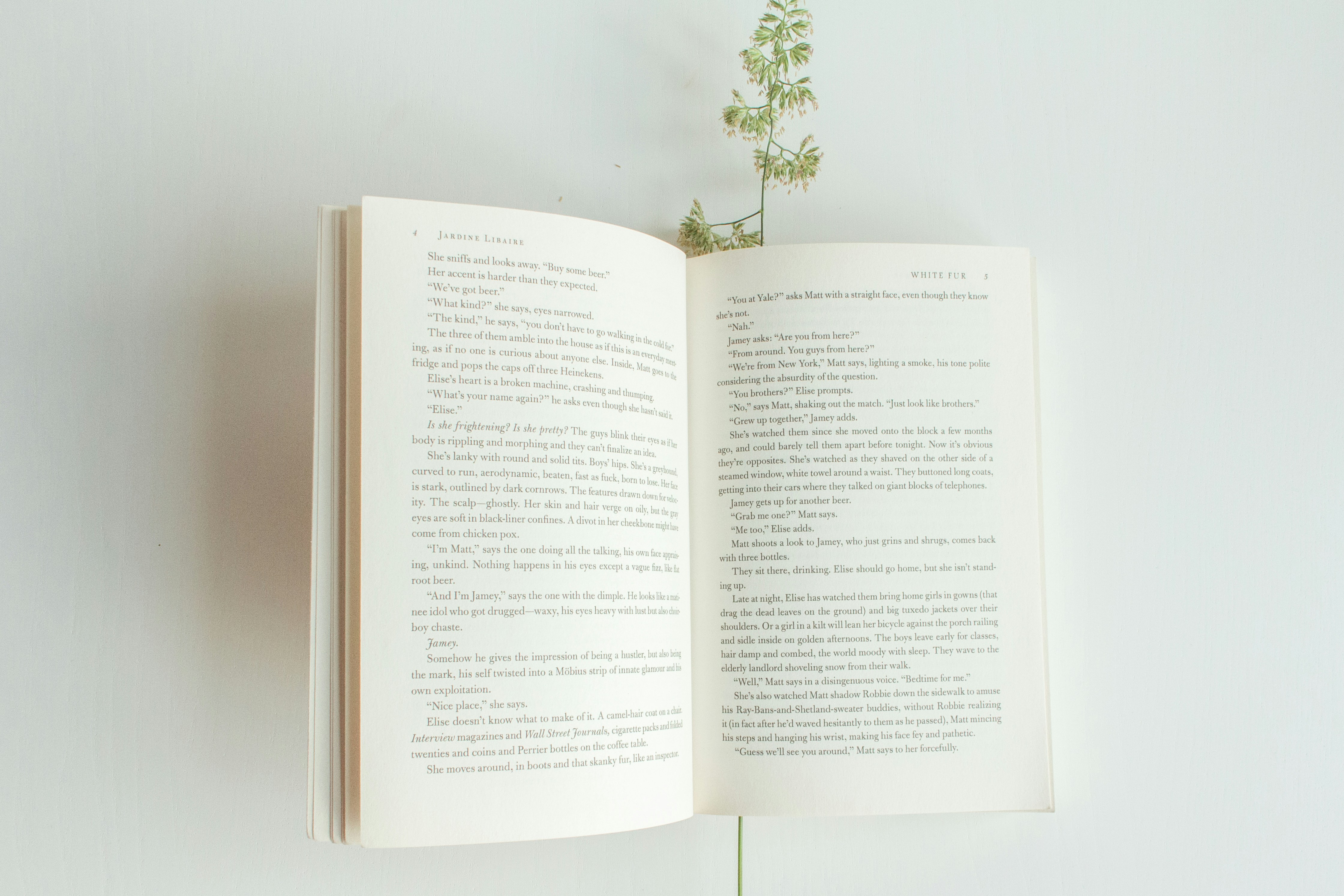 밝은 배경 위에 펼쳐진 책과 꽃 한 송이 &mdash; 가볍고 여유로운 독서 분위기