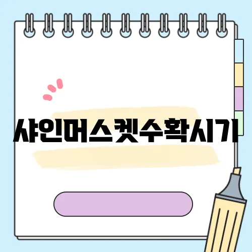 샤인머스켓수확시기