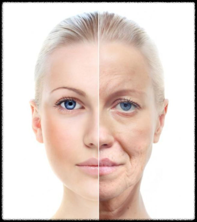 식물성 NMN 효능 및 부작용: 관절염 개선부터 다양한 건강 효과까지