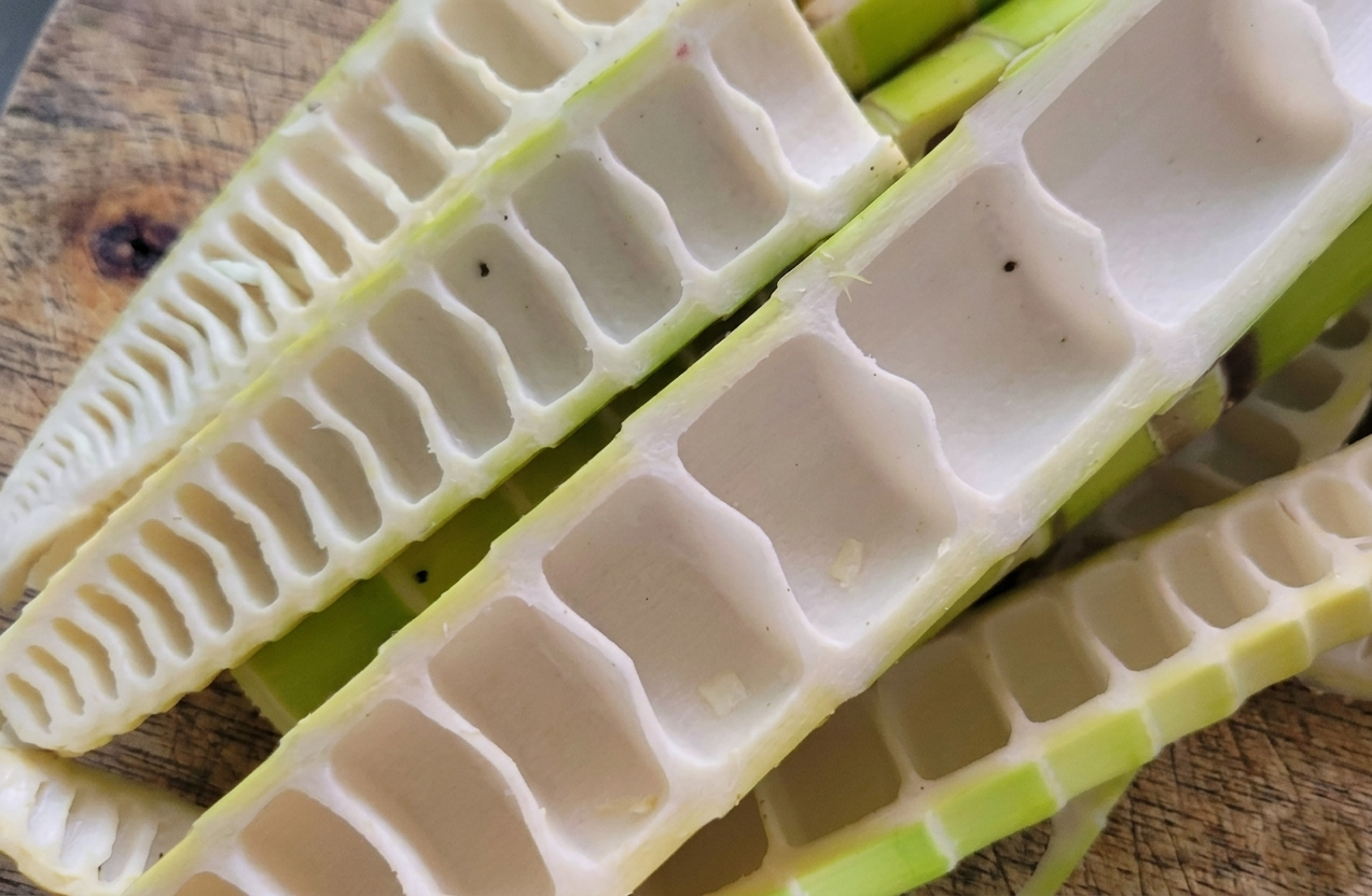 나무 도마 위에 놓인 신선한 죽순의 세로 단면과 마디 구조