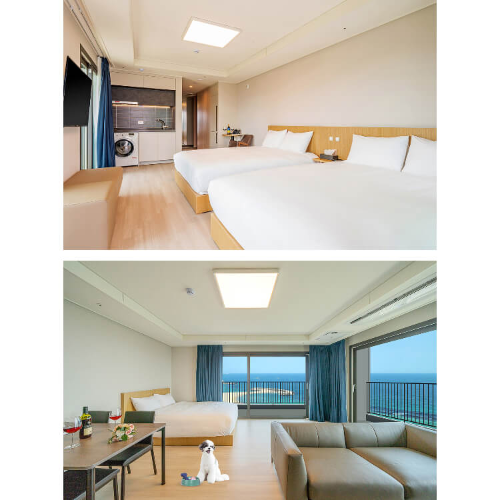 속초아이파크스위트 호텔 프리미어 더블룸 펫룸