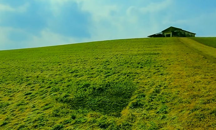 국내 봄 여행지