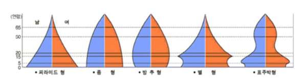 인구 피라미드구조