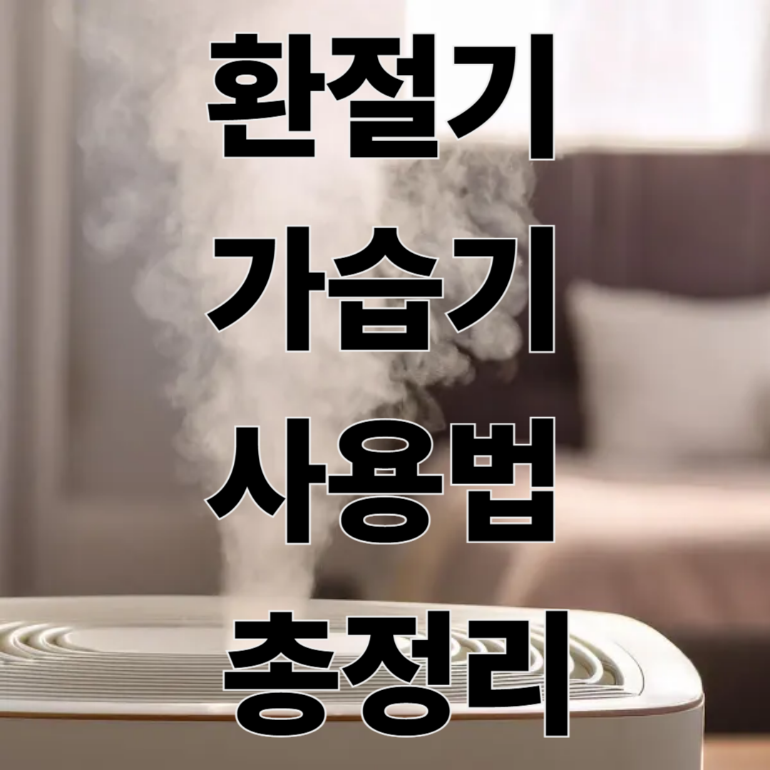 환절기 가습기 사용법 & 천연가습법 – 건강 지키는 습도 관리법