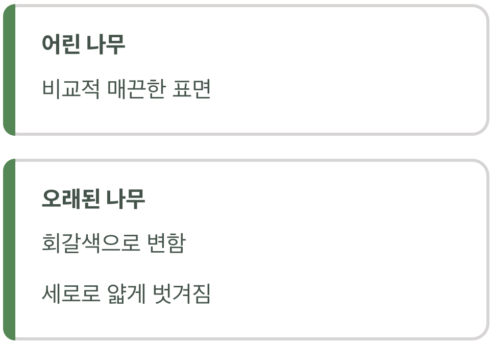 나무껍질&amp;#44; 세로로 벗겨지는 독특한 무늬