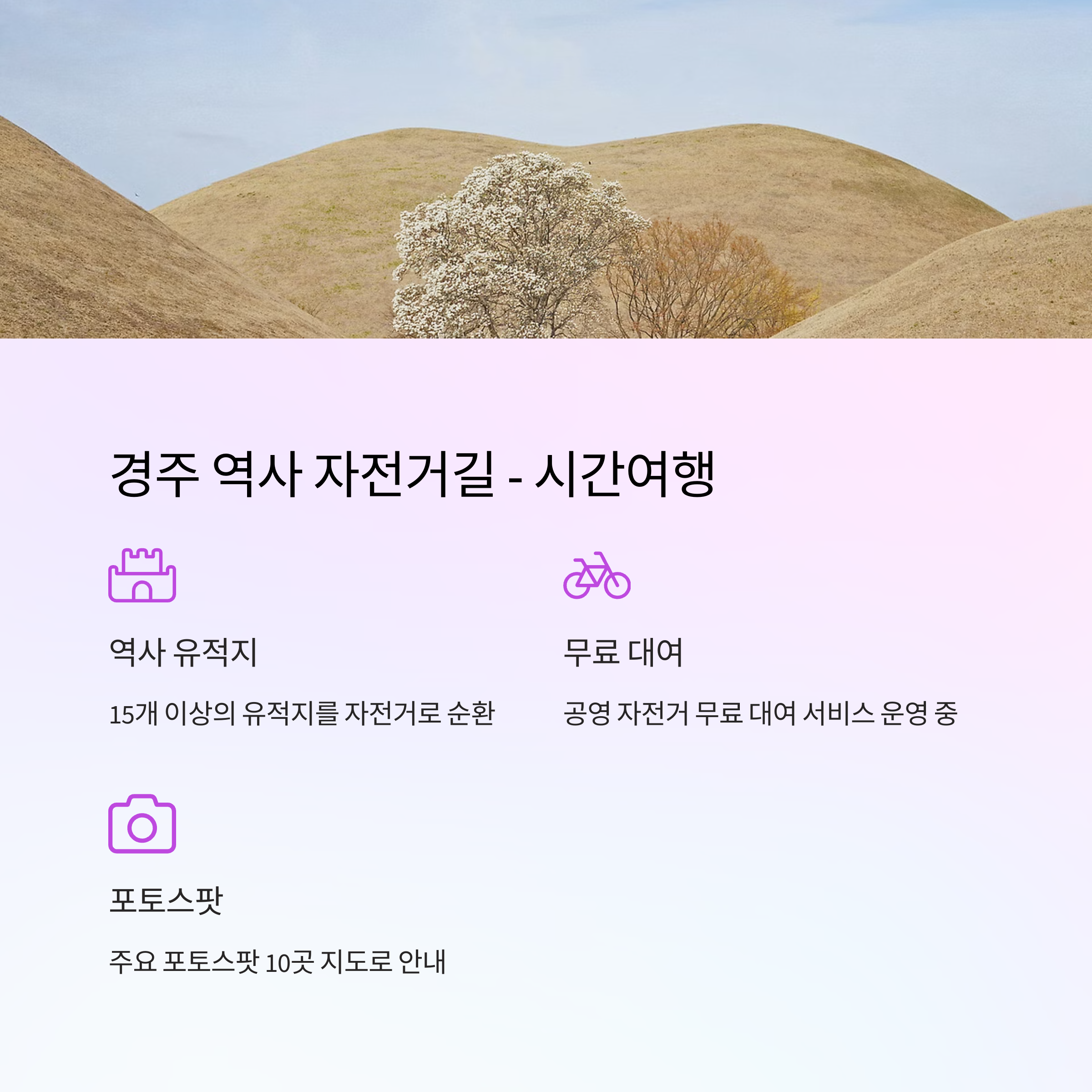 경주 역사 자전거길