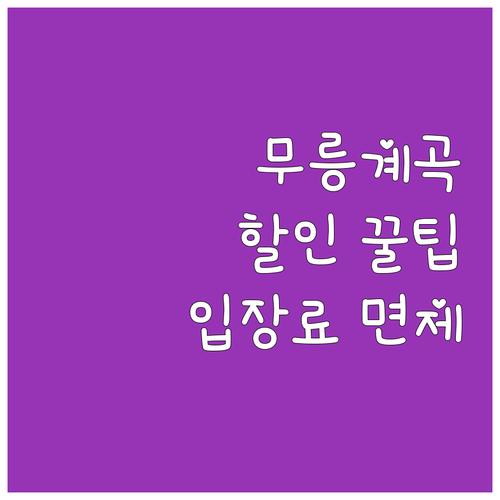 2025 무릉계곡 할인 꿀팁 대방출 ..