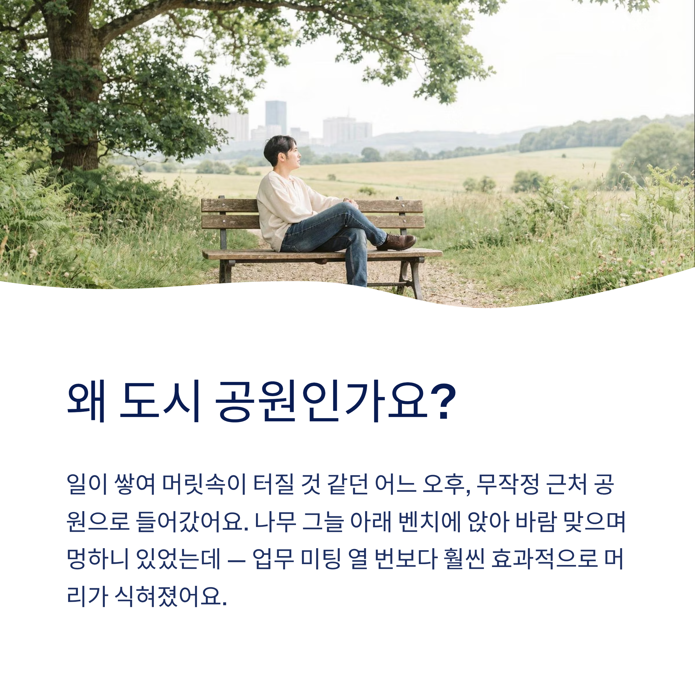 산책하기 좋은 도시 공원 전국 추천 — 진짜 걸어본 사람만 아는 숨은 명소들