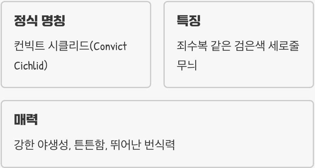 야생의 카리스마, 블랙니그로