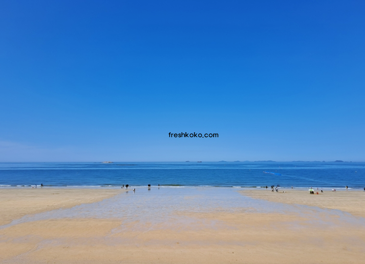 보령 가볼만한곳