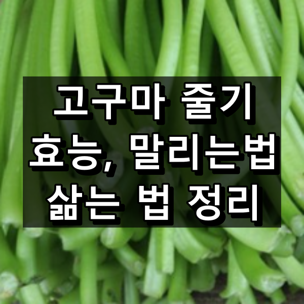 고구마 줄기 효능, 말리는 방법, 삶는법 총정리