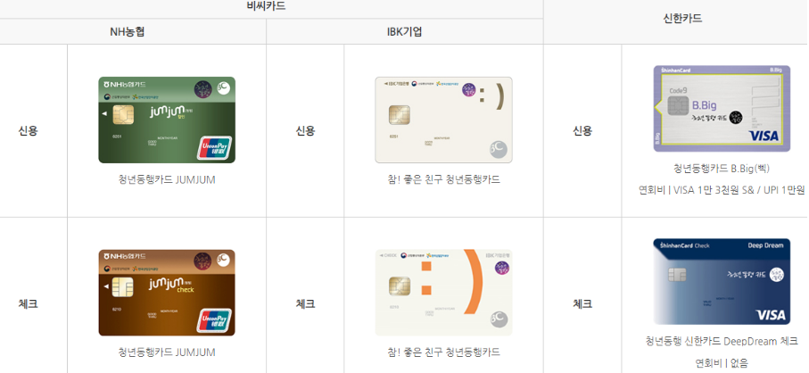 카드사별 청년동행카드 (신용카드, 체크카드)