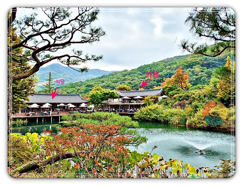 화담숲_식당-카페-기와지붕-파라솔-야외테이블-연못