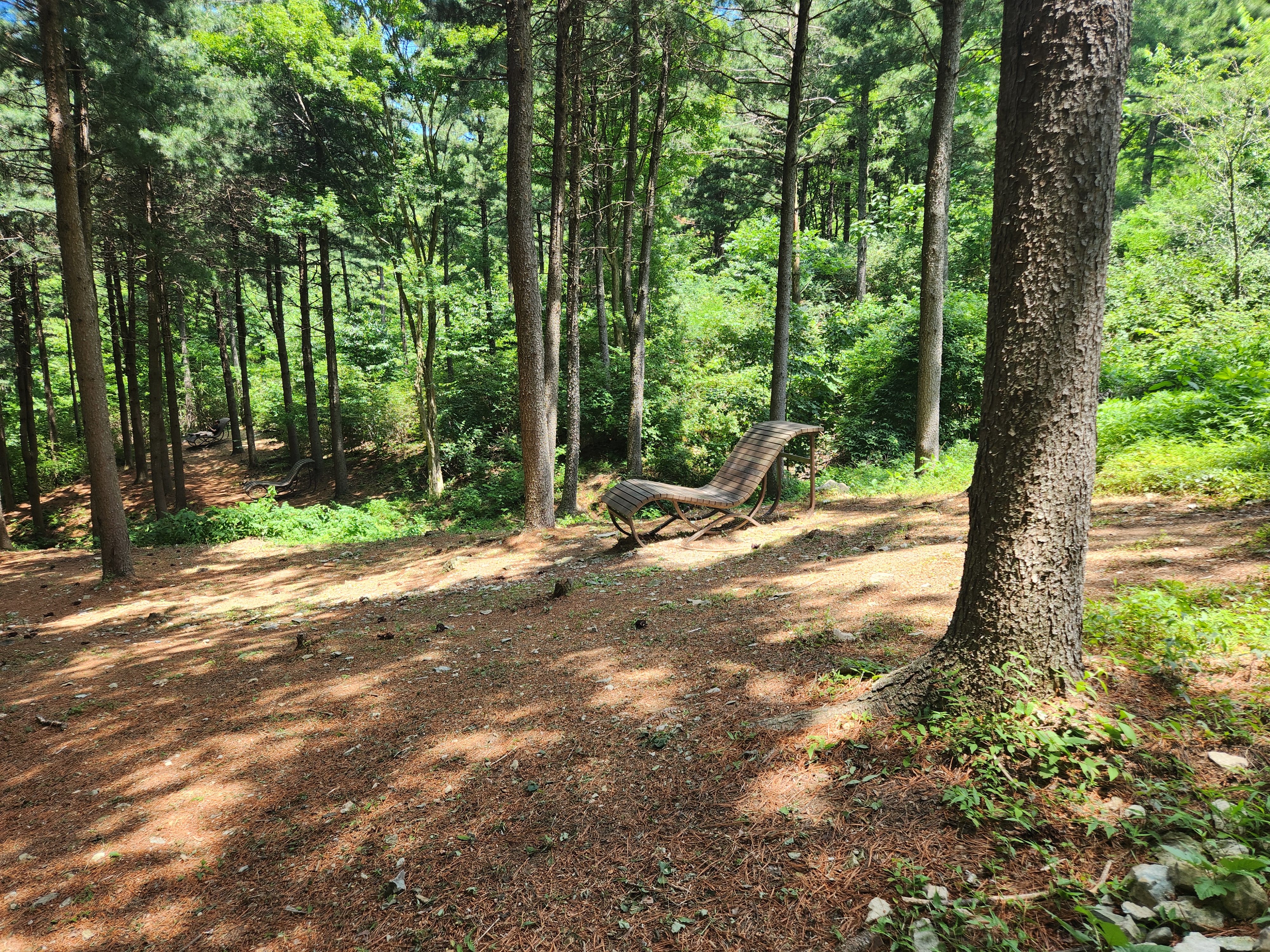 산성산 (81)