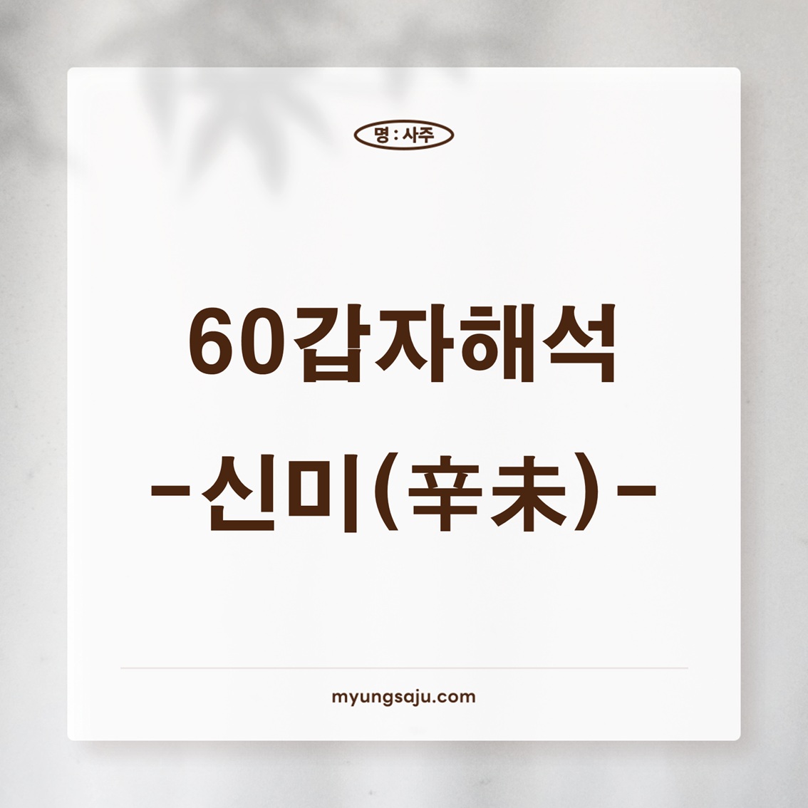 육십갑자 해석 (60갑자) - 신미일주, 신미년주, 신미시주, 신미월주, 신미대운, 신미세운, 신미일운