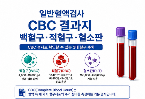 일반혈액검사 CBC 결과지 백혈구 적혈구 혈소판