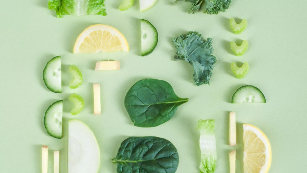 소장 기능 장애의 문제 영양소 흡수, 소화 불량, 면역 기능 저하