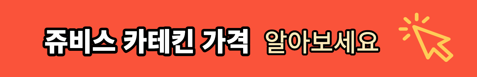 쥬비스 다이어트