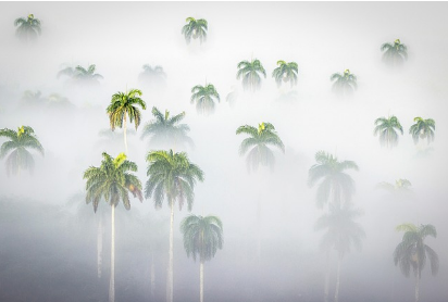 개인회생 신청자격 절차 총정리: 신청부터 인가까지 한 번에 알아보기