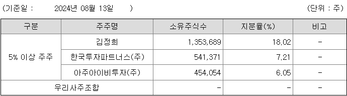 에이치엔에스하이텍 지분 구조