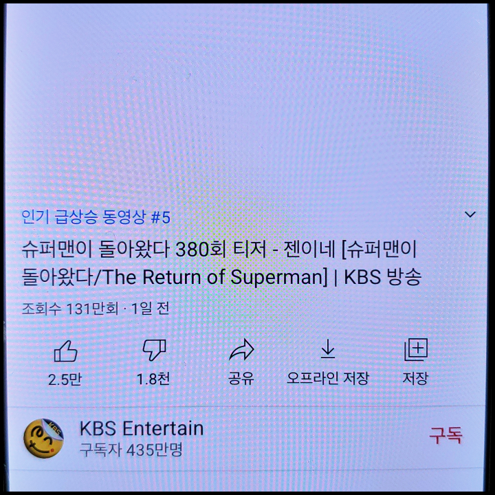 사유리-슈돌