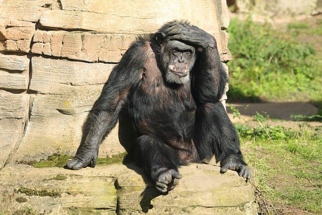 의외로 잘 모르는 뇌를 망치는 습관!