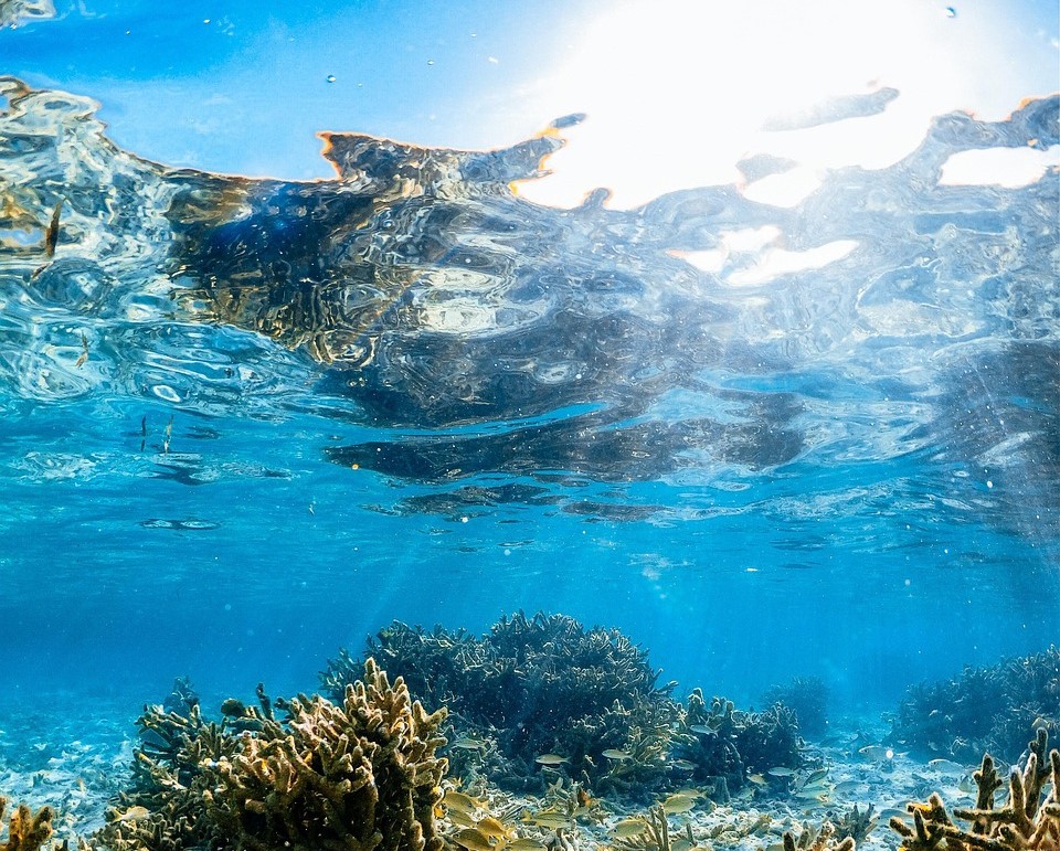 타인의 본성 관련 이미지