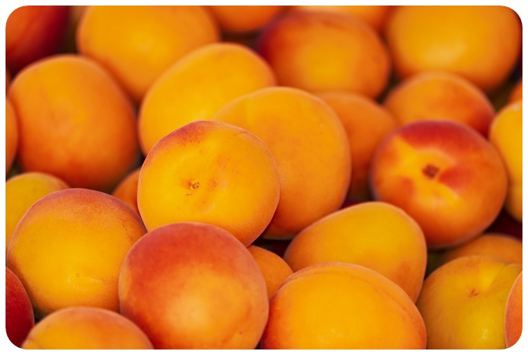 살구의 먹을때 주의사항