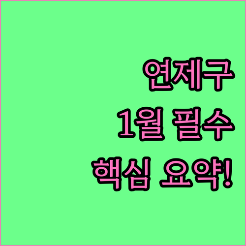 연산동 고분군부터 도서관까지 1월 연..