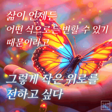 손 위의 화려한 나비와 함께 ‘삶이 변할 수 있기에 작은 위로를 전하고 싶다’는 글귀가 있는 이미지