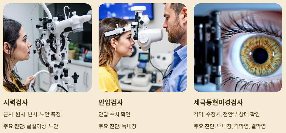 안과정밀검진 항목