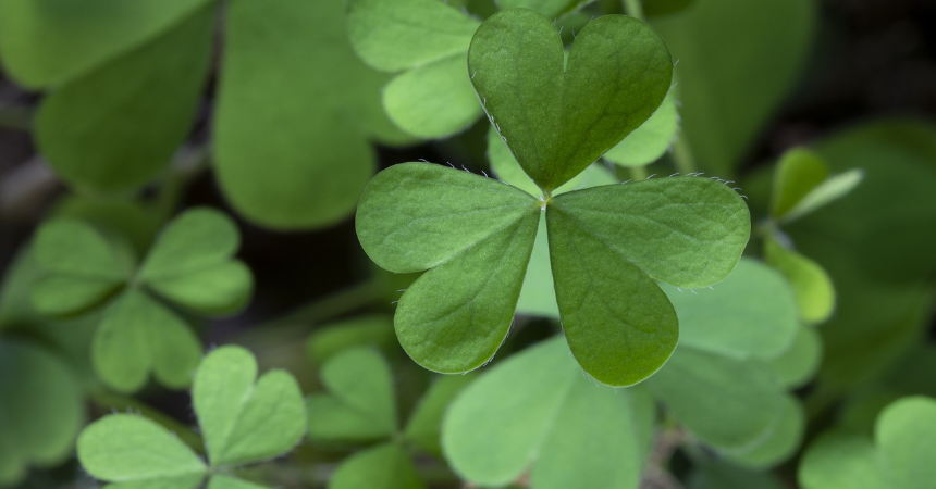 운도 따라야 함