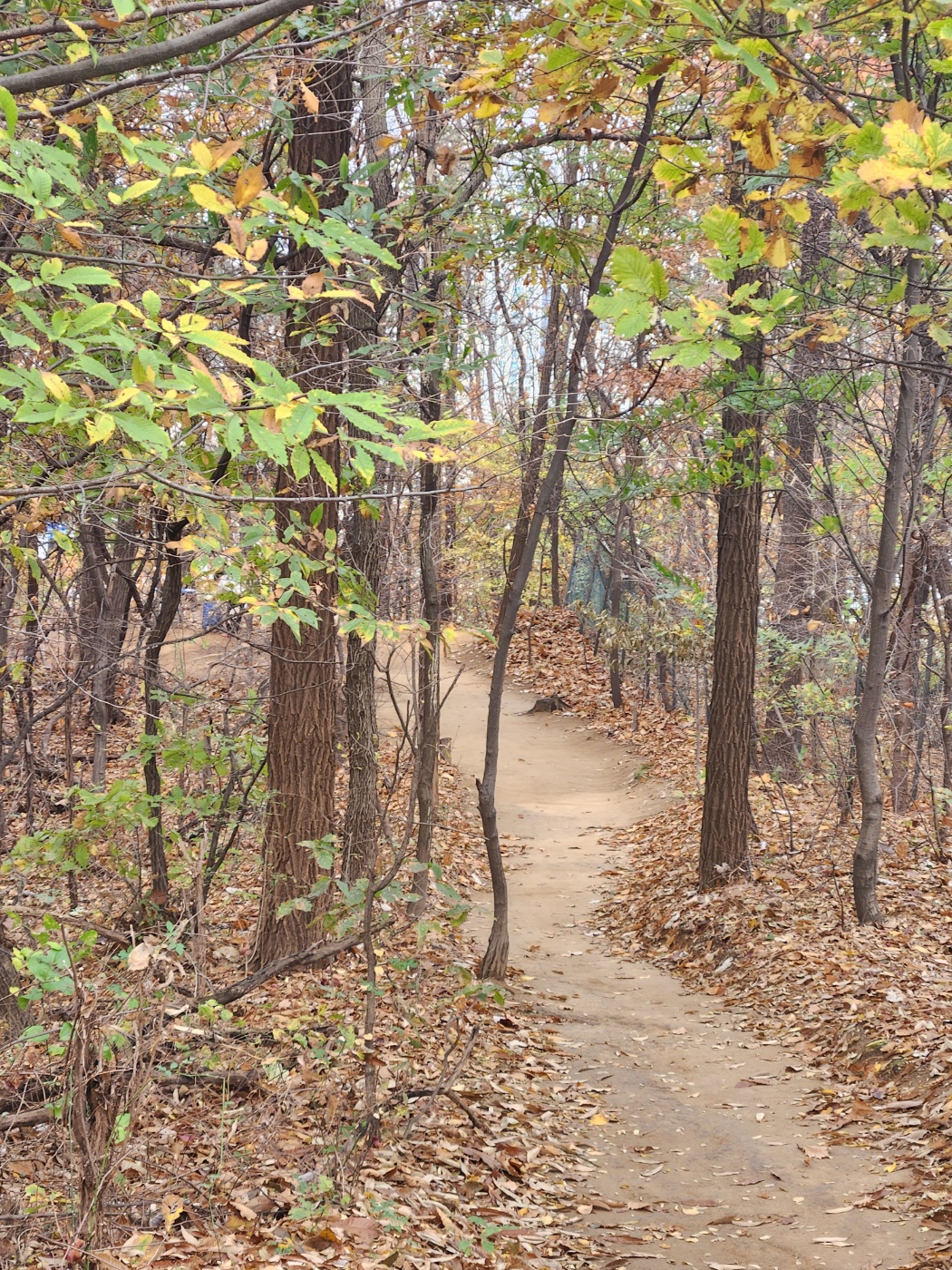맨발걷기-산책길