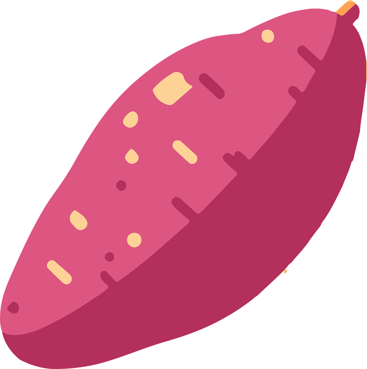 고구마 파종하기