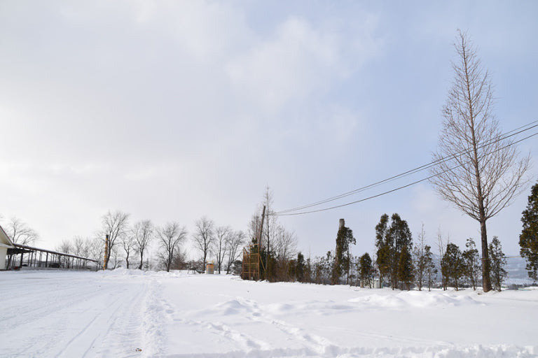 당일치기로 다녀오기 좋은 1월 국내 겨울 여행지 BEST 4 추천