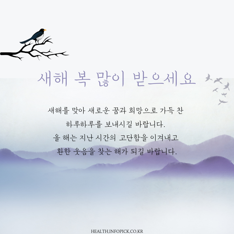 새해 인사말 모음집 이미지 좋은글귀