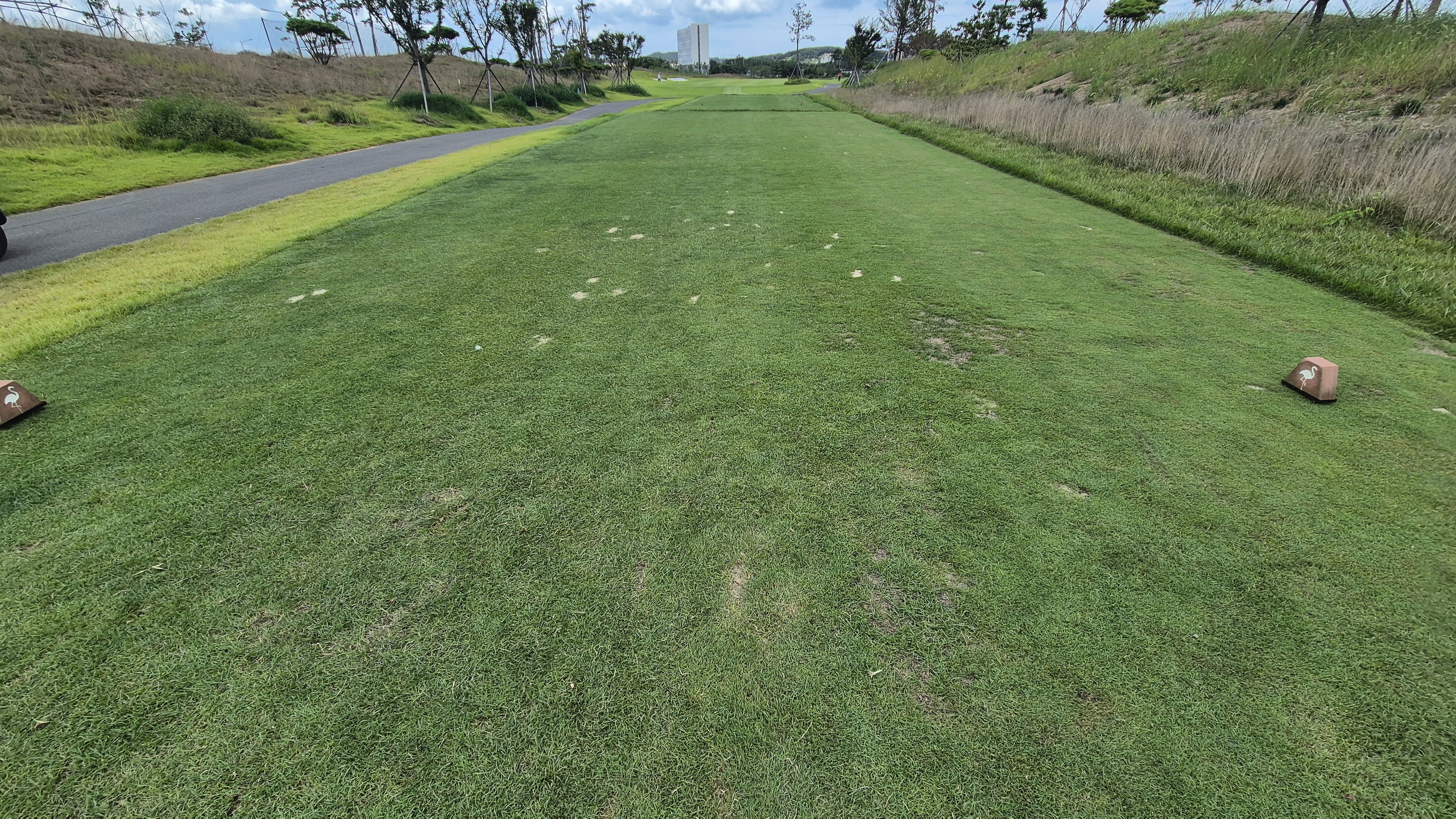 플라밍고cc 듄스-링크스 코스 라운드 후기