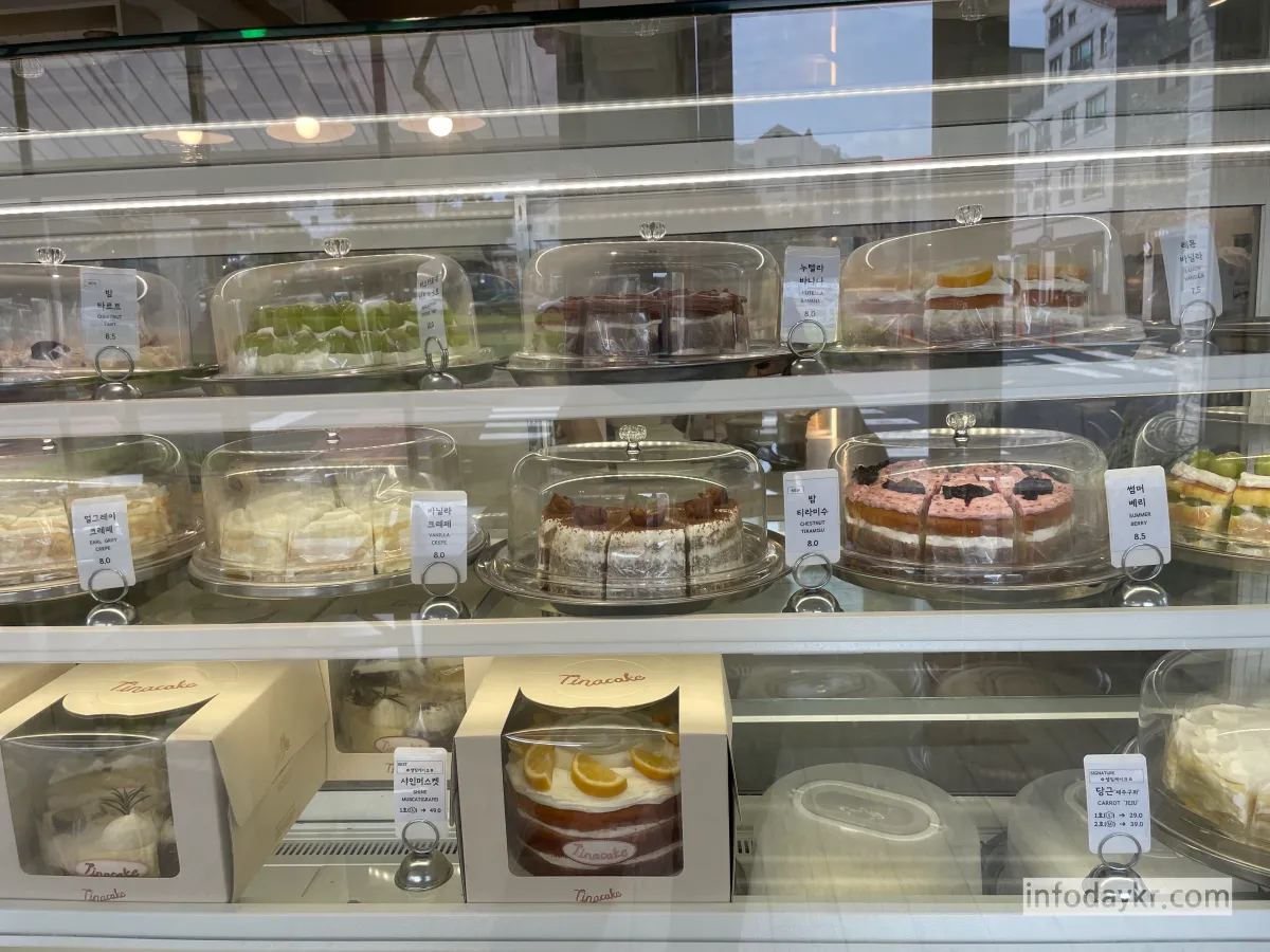 티나케이크-조각-케이크