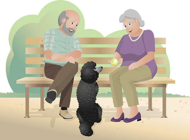 노령연금 수급자격