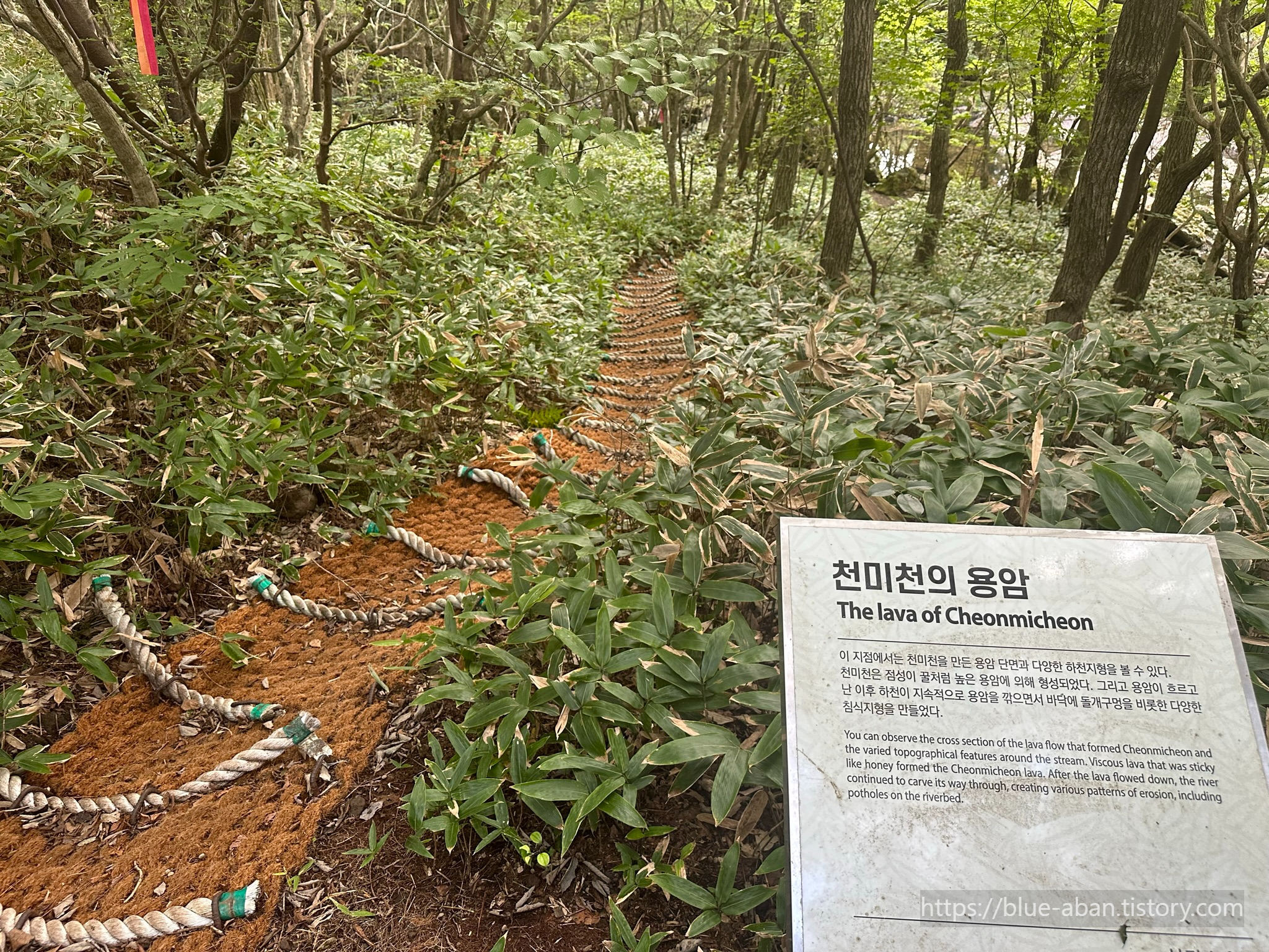 산책로