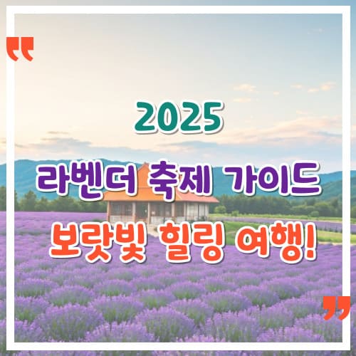 2025-라벤더-축제-가이드-보랏빛-힐링-여행