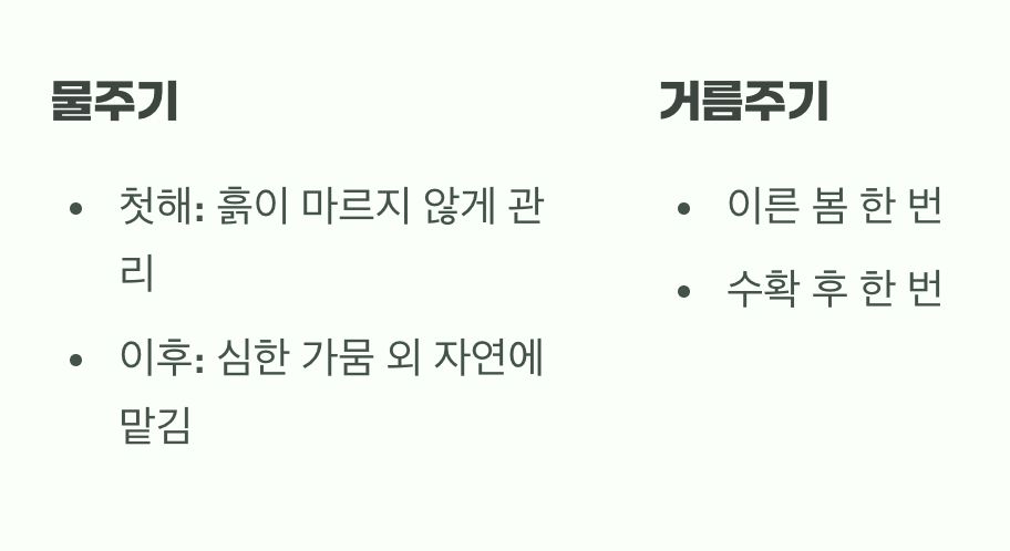 필요한 만큼만, 똑똑한 물주기와 거름주기