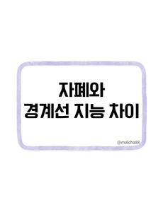 자폐와 경계선지능 차이점