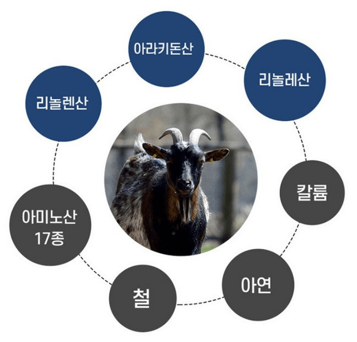 흑염소진액 효능과 흑염소진액 추천 순위 TOP 5 - 네이버&amp;#44; 쿠팡&amp;#44; G마켓&amp;#44; 11번가 판매 분석
